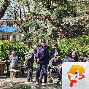 雪儿🎤V娱热点