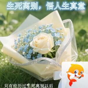 雪儿🎤V娱热点