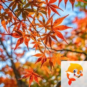 曾经🎤V娱热点