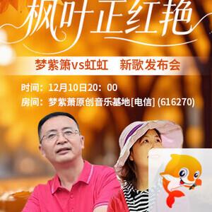 金武🎤V娱热点