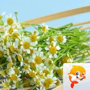 曾经🎤V娱热点