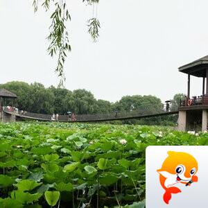 依恋草原（王志强）苏州