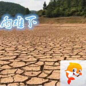 雪儿🎤V娱热点