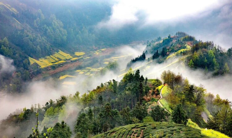 飘香季节（图7）