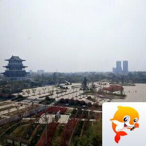 眺望风景