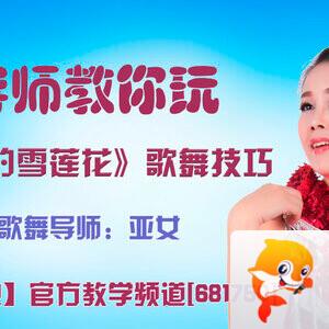 港湾🎤V娱热点