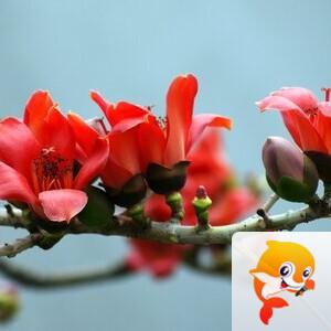 曾经🎤V娱热点