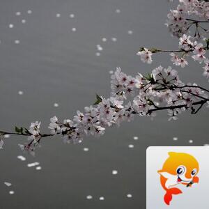 曾经🎤V娱热点