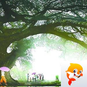 筱雪【新时代文明实践艺术团】