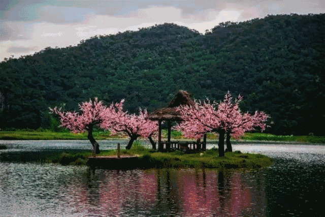 640_427gif 动态图 动图