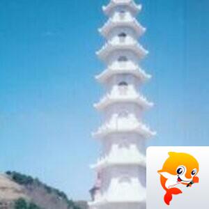 张阿丽