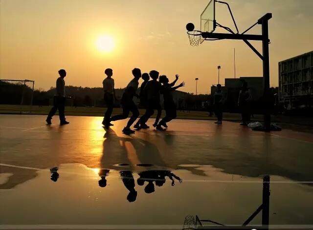 文字原创首发夕阳红篮球梦