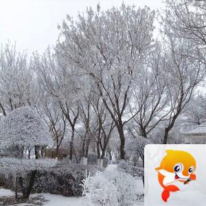 雪儿🎤V娱热点