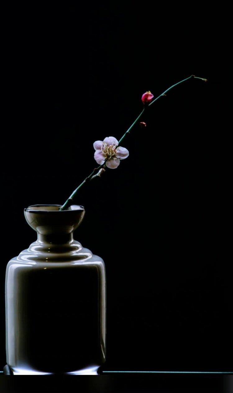 飘香季节（图6）