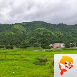 于无声处