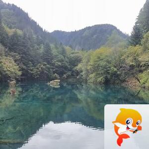 雪儿🎤V娱热点