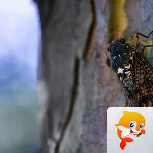 曾经🎤V娱热点