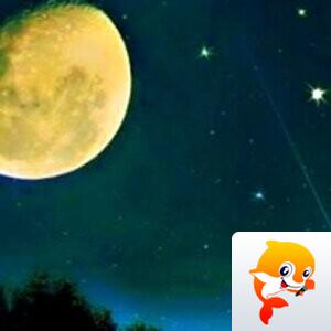 ✨💦娟子💦✨