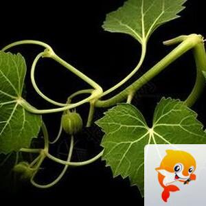 曾经🎤V娱热点