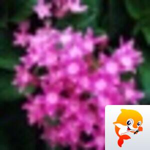 🌈 Yimin【美摄视界】