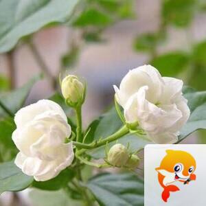 曾经🎤V娱热点