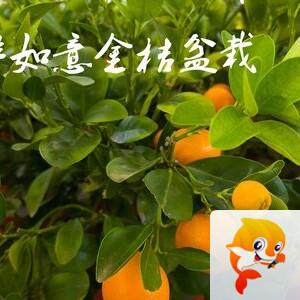 雪儿🎤V娱热点