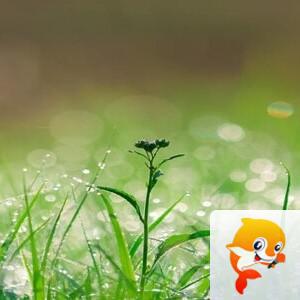 曾经🎤V娱热点