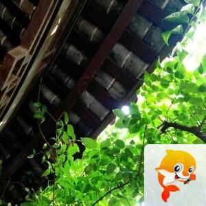 曾经🎤V娱热点