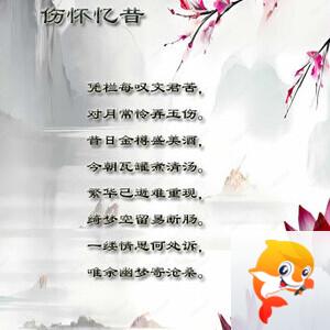 落雪🎤V娱热点