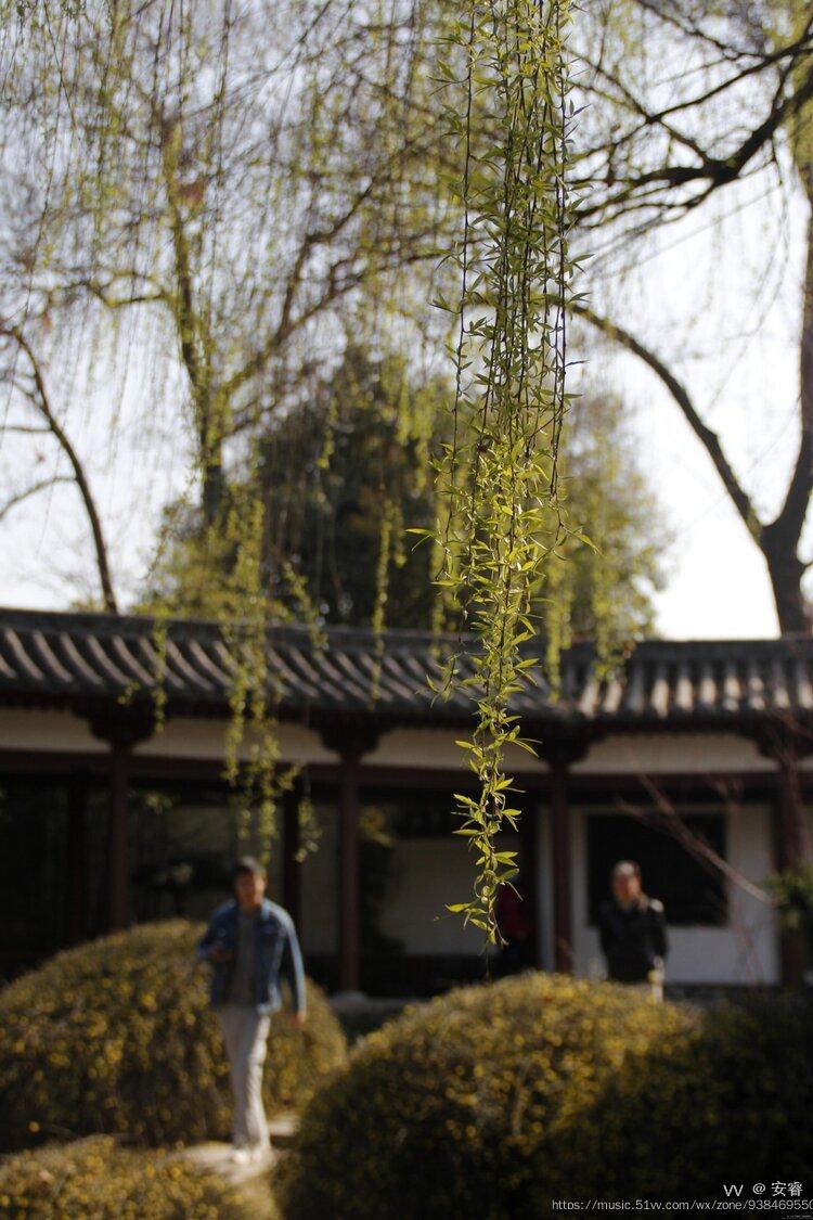 (三)——五微芳香泥土散,青草染眉辉.惊蜇春雷动,山重树影围.