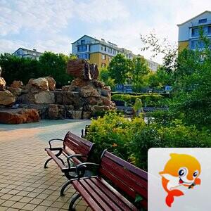 飘雪无垠【美摄视界】