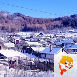 沈阳。。方长华