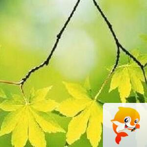 曾经🎤V娱热点