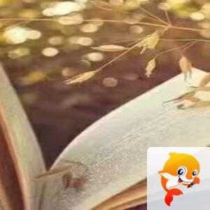 曾经🎤V娱热点