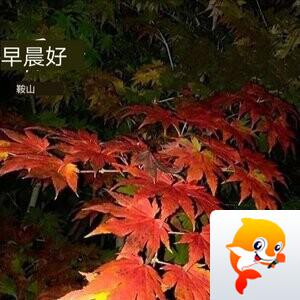 杨柳