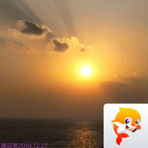 杨柳