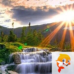 🚴‍♂️绿洲之恋🚴‍♂️