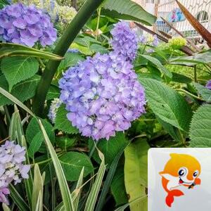 纳兰＿🎤V娱热点