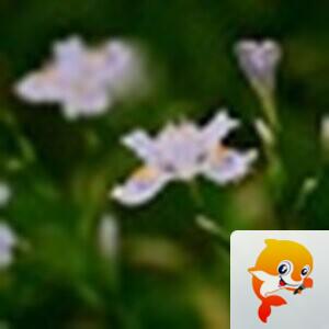 ℒℴѵℯ亮亮ꦿ໊ོ °