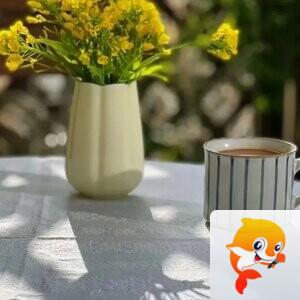 小不点✨别问我是谁   ‮♡‭