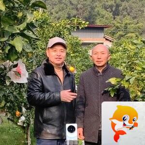 《华人文艺选刊》赵良田主编