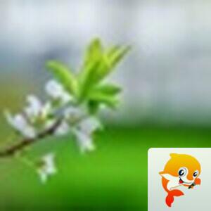 玉虹