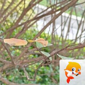 纳兰＿🎤V娱热点