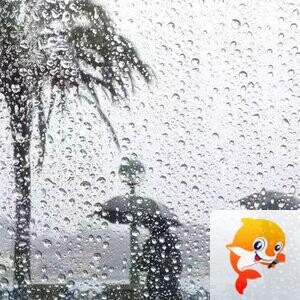 《华人文艺选刊》赵良田主编