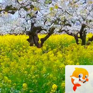 【墨香兰亭·江南一景】