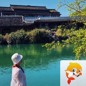 小张[西窗剪烛]