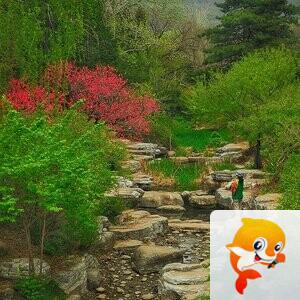 郭炳光【文声汇影】