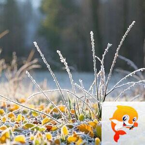 纳兰＿🎤V娱热点