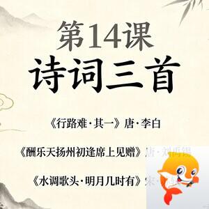 苗秀长青