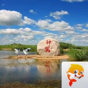 雪儿🎤V娱热点